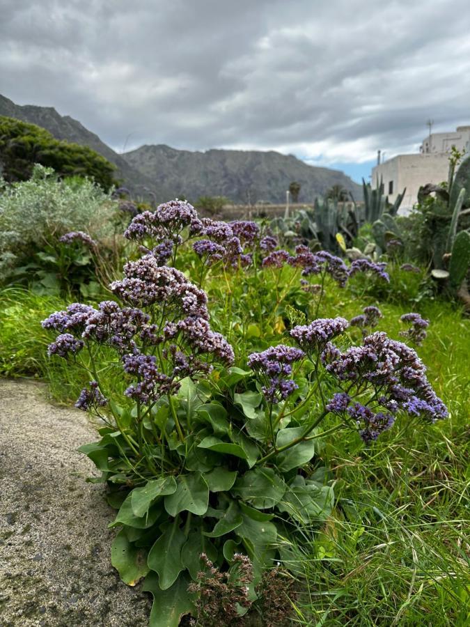 Aventura En Buenavista Del Norte Extérieur photo